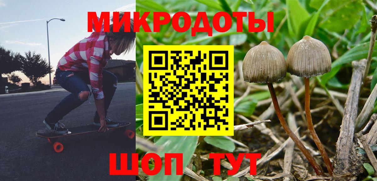 Псилоцибиновые грибы MAGIC MUSHROOMS  купить   Владикавказ  Вход с VPN 